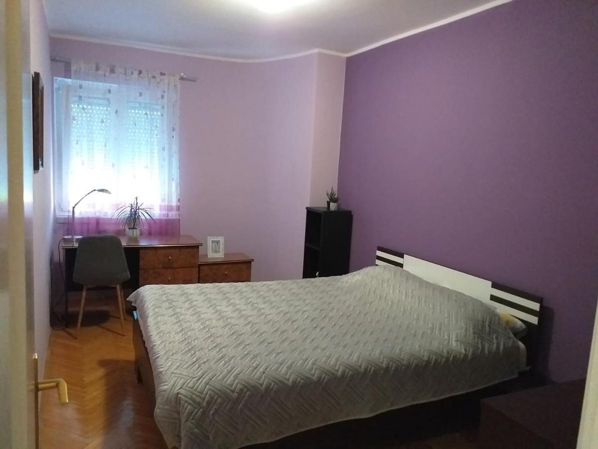 Center Novi Sad